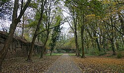 Une allée dans le parc de la citadelle de Lille