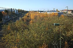 Bande boisée le long des voies de chemin de fer, à Marcq-en-Barœul