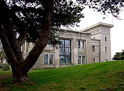 Le Typhonium à Wissant